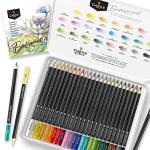 Castle Arts Themed 24 Coloured Pencil Set in Tin Box, perfect colours for ‘Botanical’ Art. Featuring quality, smooth coloured cores, superior blending & layering performance for great results