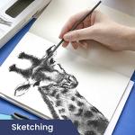 Pacific Arc Large Willow Charcoal Stick 4/Pkg, Soft, Black, Willow Charcoal for Sketching and Drawing