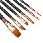 Paint Brush Set 6 Different Shapes for Watercolor Rock Face Painting Brush, Artist Craft Brush Supplies, Paint Brush Set for All Purposes Adult Painting (6)