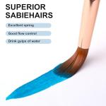 Paint Brush Set 6 Different Shapes for Watercolor Rock Face Painting Brush, Artist Craft Brush Supplies, Paint Brush Set for All Purposes Adult Painting (6)