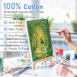 Gotideal Canvas for Painting, 20 Pcs Multi Pack Stretched Paint Canvas, Blank Painting Canvases for Acrylic,Oil,Art Supplies for Artists,Adults 3x3,5x7,8x10,11x14 5pcs of Each