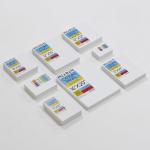 MEEDEN 12-Pack Canvas Boards for Painting, 16 × 20 Inches Blank White Canvas Panels, 100% Cotton, 8 oz Gesso-Primed, Canvas Art Supplies for Acrylic Pouring Airbrushing & Oil Painting