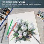 U.S. Art Supply 11" x 14" Premium Heavyweight Watercolor Paper Pad, Pack of 2 (12 Sheets Each), 140lb (300gsm) - Cold Pressed, Acid-Free, Wet, Water Color Paper - for Artists, Students