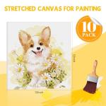 ESRICH Stretched Canvas for Painting 12 x 12 Inch, 10 Pack Blank Canvas -5/8 Inch Profile Primed Cotton White Canvases for Painting for Oil & Acrylic Paint, Art Canvases for Painting for Adult & Kids.