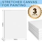 ESRICH Stretched Canvas for Painting, 3 Pack 9x12 Inch Canvas Value Pack,Primed Acid-Free Cotton Blank Canvases, Painting Canvas for Oil & Acrylic Paint.