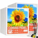 20 Pack Stretched Canvas Boards for Painting, for Adults & Kids (10 of 8"x10" and 10 of 11"x14"), 4-Layer 8oz Primed 100% Cotton Canvas, Acid-Free, Warp-Free, for Acrylic and Oil Painting.