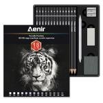 Aenir Sketch Pencils for Drawing, Drawing Pencils Set of 18, 10B–4H Graphite Pencil, Vinyl Eraser, Kneaded Eraser, Sharpener, Blending Stump,Sketch Set for Artists, Art Supplies.
