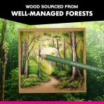 Prismacolor Premier Colored Pencils, Soft Core, 36 Count