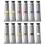 Winsor & Newton Artists' Acrylic Color 12-Tube Set, 20ml