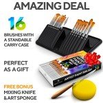 18 Pieces Premium Artist Paint Brush Set - Includes Palette Knife, Sponge, Organizing Case - 16 Painting Brushes for Kids, Adults & Professionals - Perfect for Watercolor, Oil, Acrylic Painting Art