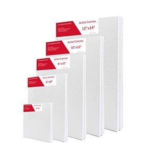 S & E TEACHER'S EDITION 10 Pcs Stretched Canvases with Multi Size Pack, 4x6, 6x8, 8x10, 10x12, 12x14, for Painting, Acrylic Pouring, Oil Paint & Watercolor Art Media