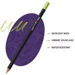 Posca Pastels, Premium Art Set of 24 Wax Pastels, Art Supplies for Home and School | Luxury Crayons for Adults