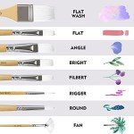 CONDA Paint Brushes Set of 24 Different Shapes Professional Painting Brushes for Oil, Acrylic Canvas and Watercolor Painting (White)