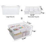 Citylife 17 QT Plastic Storage Box with Removable Tray Craft Organizers and Storage Clear Storage Container for Organizing Bead, Tool, Sewing, Playdoh