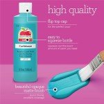 Apple Barrel Acrylic Craft Paint Set, Matte Finish, Set of 8, 8 Fl Oz (Pack of 8), Assorted