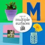 Apple Barrel Essentials Acrylic Paint Set, 12, 24 Fl Oz (Pack of 1)