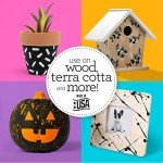 Apple Barrel PROMOABWB Set Featuring 2 White Black Acrylic Paint Colors, 16 Fl Oz (Pack of 2), Multi