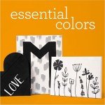 Apple Barrel PROMOABWB Set Featuring 2 White Black Acrylic Paint Colors, 16 Fl Oz (Pack of 2), Multi