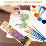72 Pcs Painting Brush Palette Set, 60 Pcs Paint Brushes with 12 Palettes for Kids or Adults to Create Art Paint Oil Watercolor