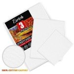 3 Pack Canvases for Painting with Multi Pack 11x14, 5x7, 8x10, Painting Canvas for Oil & Acrylic Paint