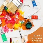 PHOENIX Oil Paint Set, 24x12ml/0.4 Fl Oz Tubes, Non-toxic Oil Based Paints for Canvas Crafts, Great Value Art Supplies for Artists, Adults & Beginners