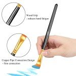 20 Pcs Paint Brushes, Acrylic Painting Brush Set, Watercolor Brushes, Acrylic Brushes for Oil Watercolor, Miniature Detailing, and Rock Painting