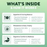 GLP-1 Support Gummies for Craving & Appetite Control (Sugar-Free) With Berberine HCL, Cinnamon, Turmeric & Garcinia - Digestion & De-Bloating Supplement for Women & Men, Carb Blocker, Vegan, Keto