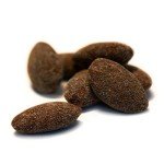Blue Diamond Almonds Dark Chocolate Cocoa Dusted Snack Nuts, 100 Calorie Packs, (Pack of 1, 32 Count Toal)