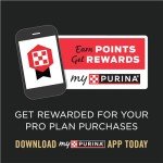 Purina Pro Plan Veterinary Diets EN Gastroenteric Canine Dog Food Dry Formula - 6 lb. Bag