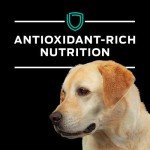 Purina Pro Plan Veterinary Diets EN Gastroenteric Canine Dog Food Dry Formula - 6 lb. Bag