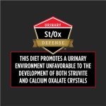 Purina Pro Plan Veterinary Diets DM Dietetic Management Feline Formula Dry Cat Food - 6 lb. Bag