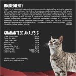Purina Pro Plan Veterinary Diets DM Dietetic Management Feline Formula Dry Cat Food - 6 lb. Bag