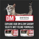 Purina Pro Plan Veterinary Diets DM Dietetic Management Feline Formula Dry Cat Food - 6 lb. Bag