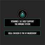 Purina Pro Plan Veterinary Diets Digestive Health Bites Dog Treat Chews - 16 oz. Pouch