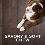 Purina Pro Plan Veterinary Diets Digestive Health Bites Dog Treat Chews - 16 oz. Pouch