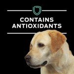 Purina Pro Plan Veterinary Diets EN Gastroenteric Canine Formula Wet Dog Food - (Pack of 12) 13.4 oz. Cans