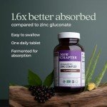 New Chapter Zinc Supplement, Fermented Zinc Complex, ONE Daily for Immune Support + Skin Health, Mineral-Balancing Formula Rich in Copper, Easy to Swallow & Digest, 60 Count (2 Month Supply)