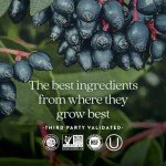 New Chapter Zinc Supplement, Fermented Zinc Complex, ONE Daily for Immune Support + Skin Health, Mineral-Balancing Formula Rich in Copper, Easy to Swallow & Digest, 60 Count (2 Month Supply)