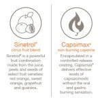 Youtheory Daily Fat Burner - Supports Body Composition & Metabolism - with Citrus Fruit Blend, Chromium & Cayenne Extract - Gluten, Soy & Dairy Free - 60 Vegetarian Capsules