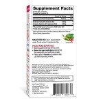 Pharmaganics Carb & Sugar Blocker - Mega Dose of Berberine & Gymnena Supplement - Take with Meals to Reduces Digested Carbs & Weight