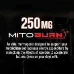 Jacked Factory Burn-XT Max - High-Performance Thermogenic Fat Burner & Appetite Suppressant for Weight Loss w/PurCaf Organic Caffeine, MitoBurn, Green Tea, Acetyl L Carnitine & More - 90 Capsules