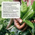 Applied Nutrition Green Tea Fat Burner 30 Soft Gels (Pack of 3)