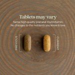 New Chapter Advanced Perfect Prenatal Vitamins, 270ct, Made with Organic, Non-GMO Ingredients for Healthy Baby & Mom - Folate (Methylfolate), Whole-Food Fermented Iron, Vitamin D3 + Ginger