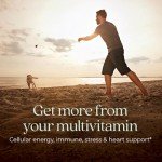 New Chapter Men's Multivitamin for Immune, Stress, Heart + Energy Support with Fermented Nutrients - Every Man's One Daily, Made with Organic Vegetables & Herbs, Non-GMO, Gluten Free - 72 ct