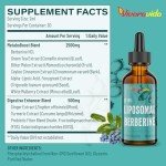 Berberine HCl Supplement 3000 mg - Liposomal Berberine HCl Liquid - AMPK Activator with Turmeric, Ceylon Cinnamon, 12 Natural Ingredients - 2 fl oz