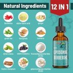 Berberine HCl Supplement 3000 mg - Liposomal Berberine HCl Liquid - AMPK Activator with Turmeric, Ceylon Cinnamon, 12 Natural Ingredients - 2 fl oz