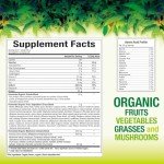 Whole Earth & Sea from Natural Factors, Organic Fermented Protein & Greens, Vegan Whole Food Supplement, Tropical, 1lb 7.3 Oz