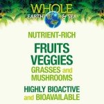 Whole Earth & Sea from Natural Factors, Organic Fermented Protein & Greens, Vegan Whole Food Supplement, Tropical, 1lb 7.3 Oz