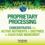 Whole Earth & Sea from Natural Factors, Organic Fermented Protein & Greens, Vegan Whole Food Supplement, Tropical, 1lb 7.3 Oz