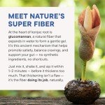 Daily Nouri FeelFull Prebiotic Fiber Drink Mix with Glucomannan & Chromium | for Natural Feeling of Fullness, Appetite & Cravings Support, Gut Microbiome & Metabolic Health | 30 Stick Packs